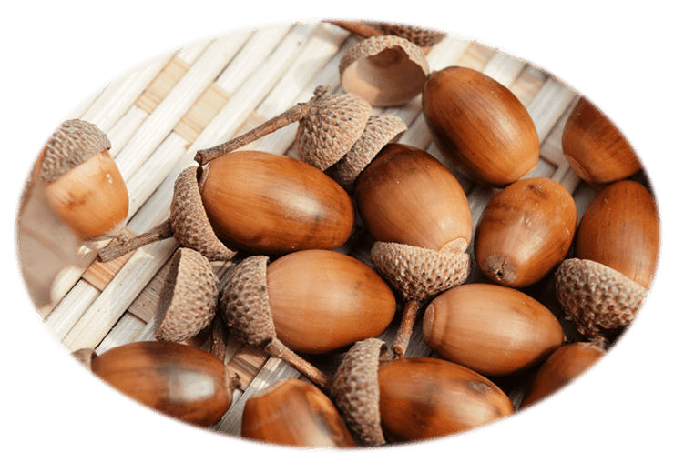 私たちのしごと